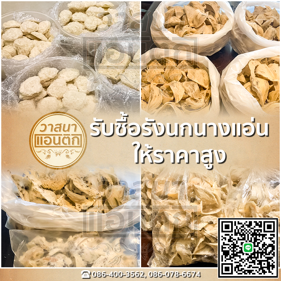 รับซื้อรักนกนางแอ่น